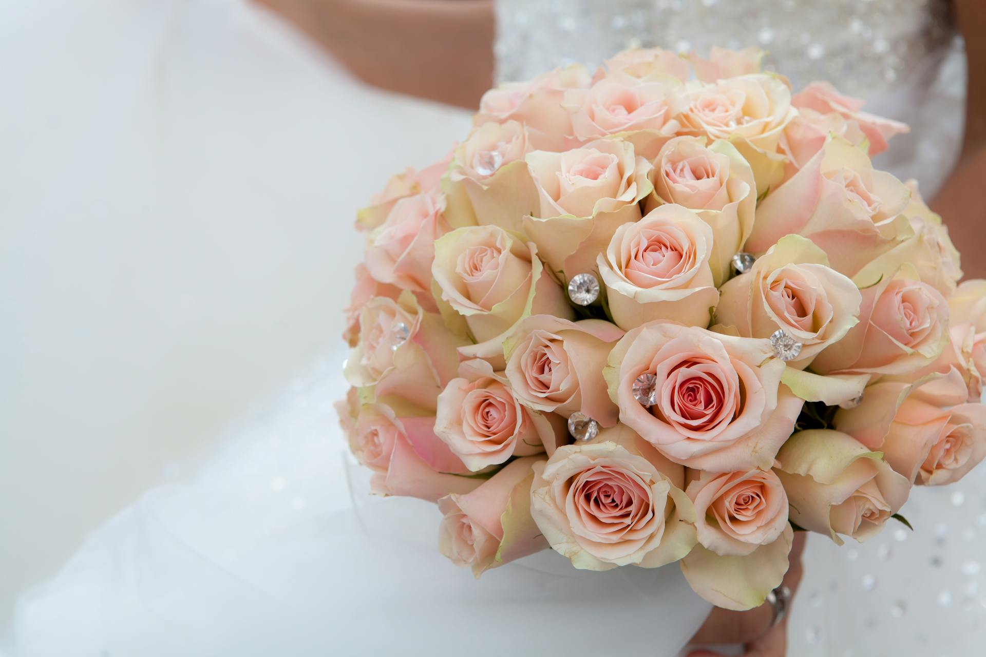 Hochzeiten & Feste